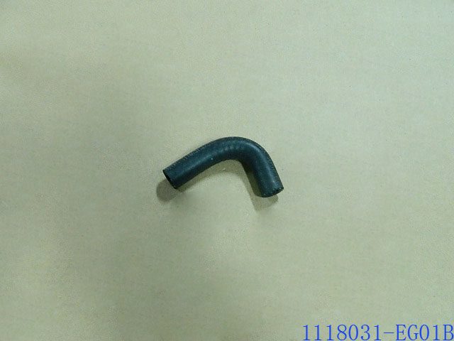 1118031-EG01B