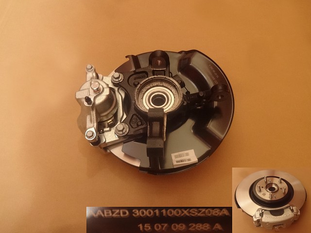 3001100XSZ08A