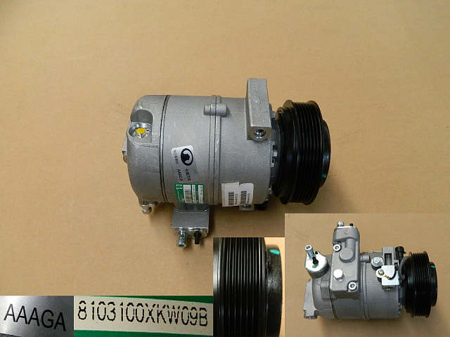 8103100XKW09B