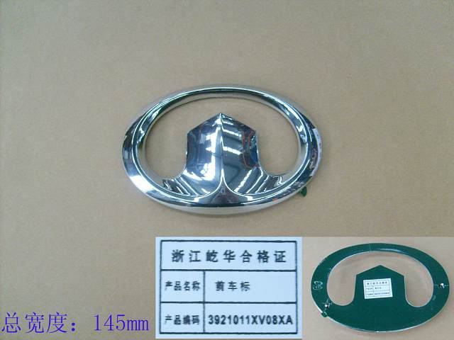 3921011XV08XA