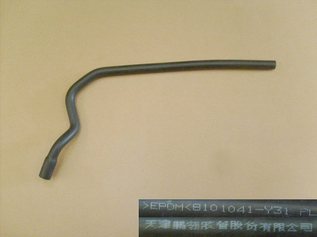 8101041-Y31