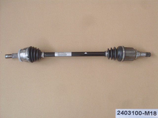 2403100-M18